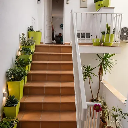 Διαμέρισμα Duplex De Charme En Centre-ville A 150 M De La Καρβοέιρο